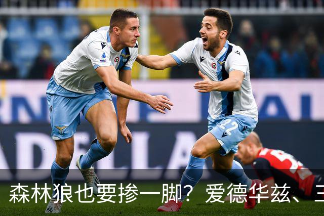 森林狼也要掺一脚？爱德华兹、三球联手招募，詹姆斯去向即将揭晓