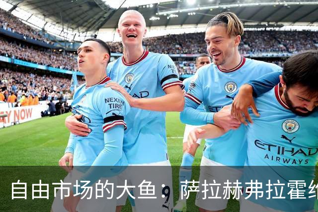 自由市场的大鱼：萨拉赫弗拉霍维奇在列 桑乔或再回多特